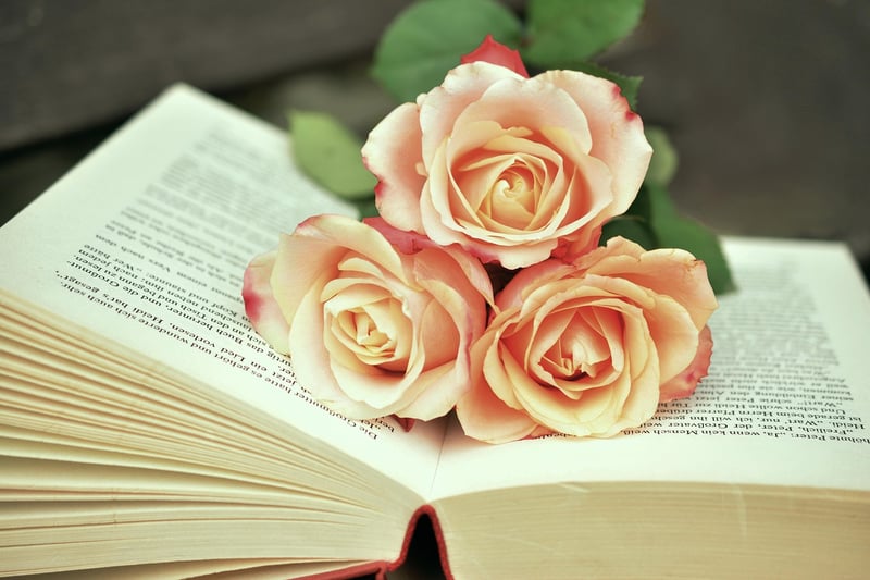 Time Travel Fiction Books